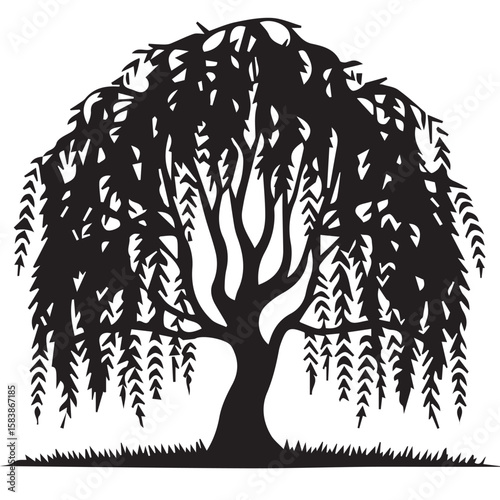 "Weeping Willow Tree with Drooping Branches: Representing Serene Beauty and Riverside Growth."