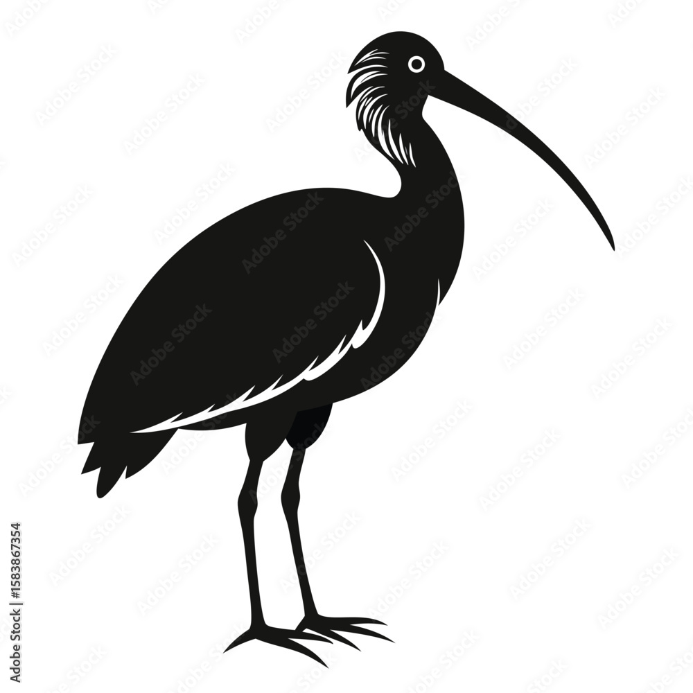 Obraz premium Silhouette of a Glossy Ibis Bird with a Curved Beak