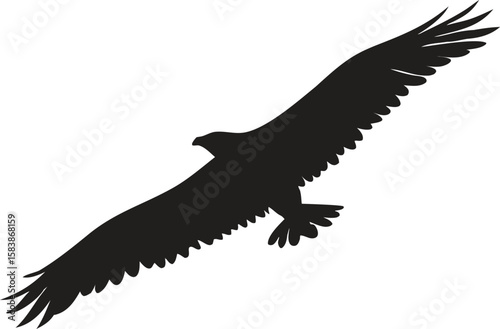 Silhouette of a majestic eagle in flight with wings spread wide isolated on transparent background