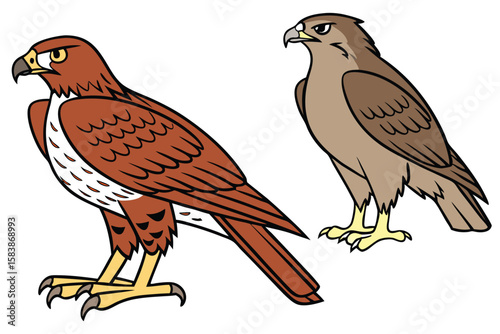 Two cartoon raptors with brown feathers and sharp talons standing with serious expressions in a drawing