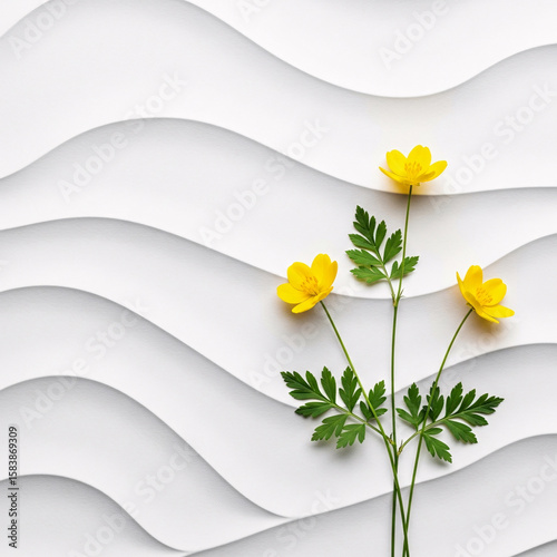 Delicate yellow buttercups with vibrant green leaves gently placed against a textured white background with flowing wave like patterns