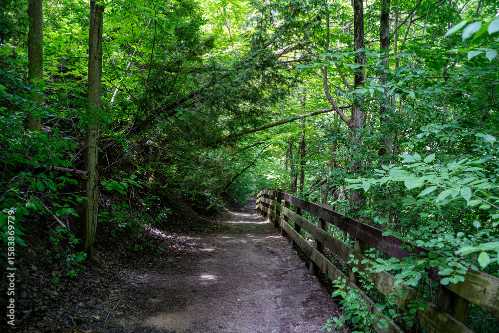View of Sixteen Mile Creek Trail in Oakville. View of Sixteen Mile Creek Trail in Oakville.