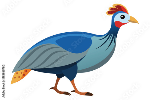 Colorful Vulturine Guineafowl Illustration with Striking Plumage and Distinctive Head Crest Isolated