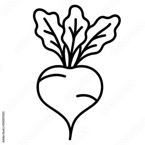 Line drawing of a fresh beetroot with green leaves  