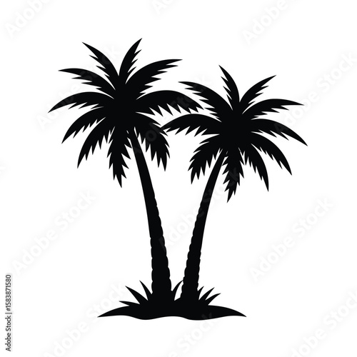 Two tall palm trees standing together in a tropical landscape silhouette