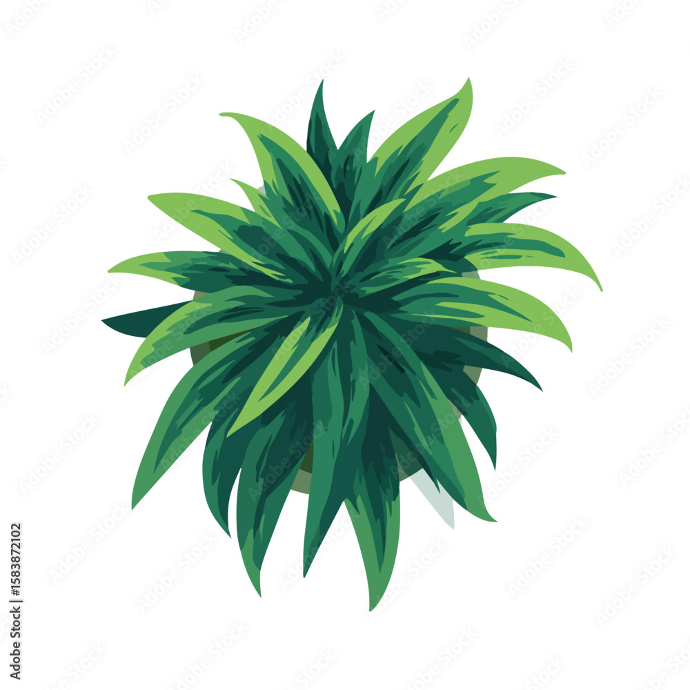 Fototapeta premium plant isolated in White Background, plant vector, Flat lay vector illustration