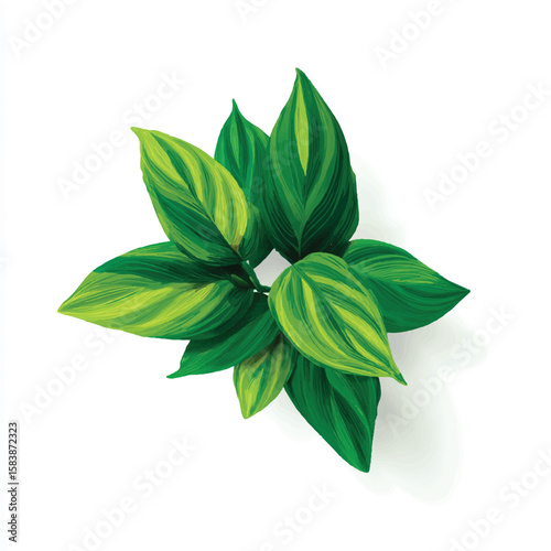 plant isolated in White Background, plant vector, Flat lay vector illustration