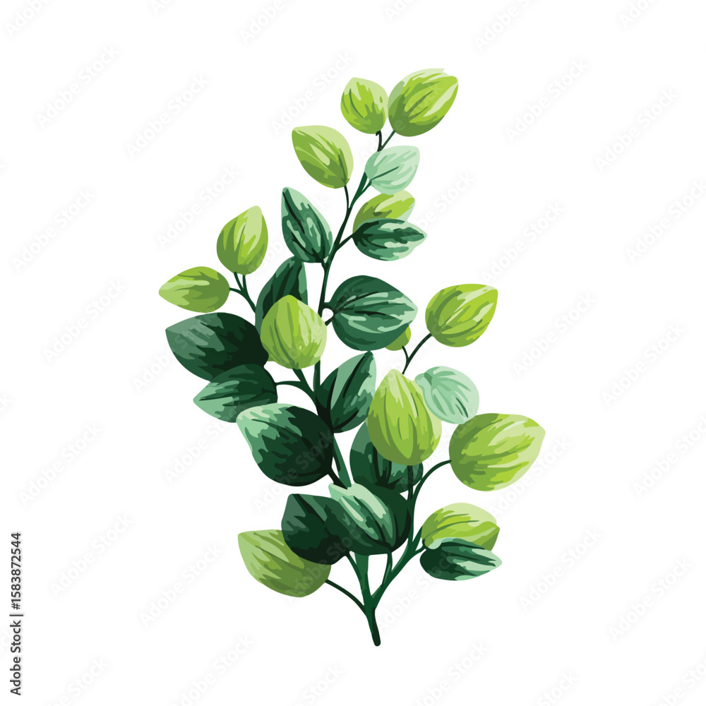 Obraz premium plant isolated in White Background, plant vector, Flat lay vector illustration