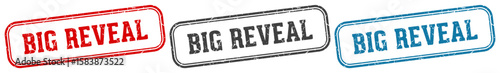 big reveal stamp. big reveal rectangular stamp set isolated on white background