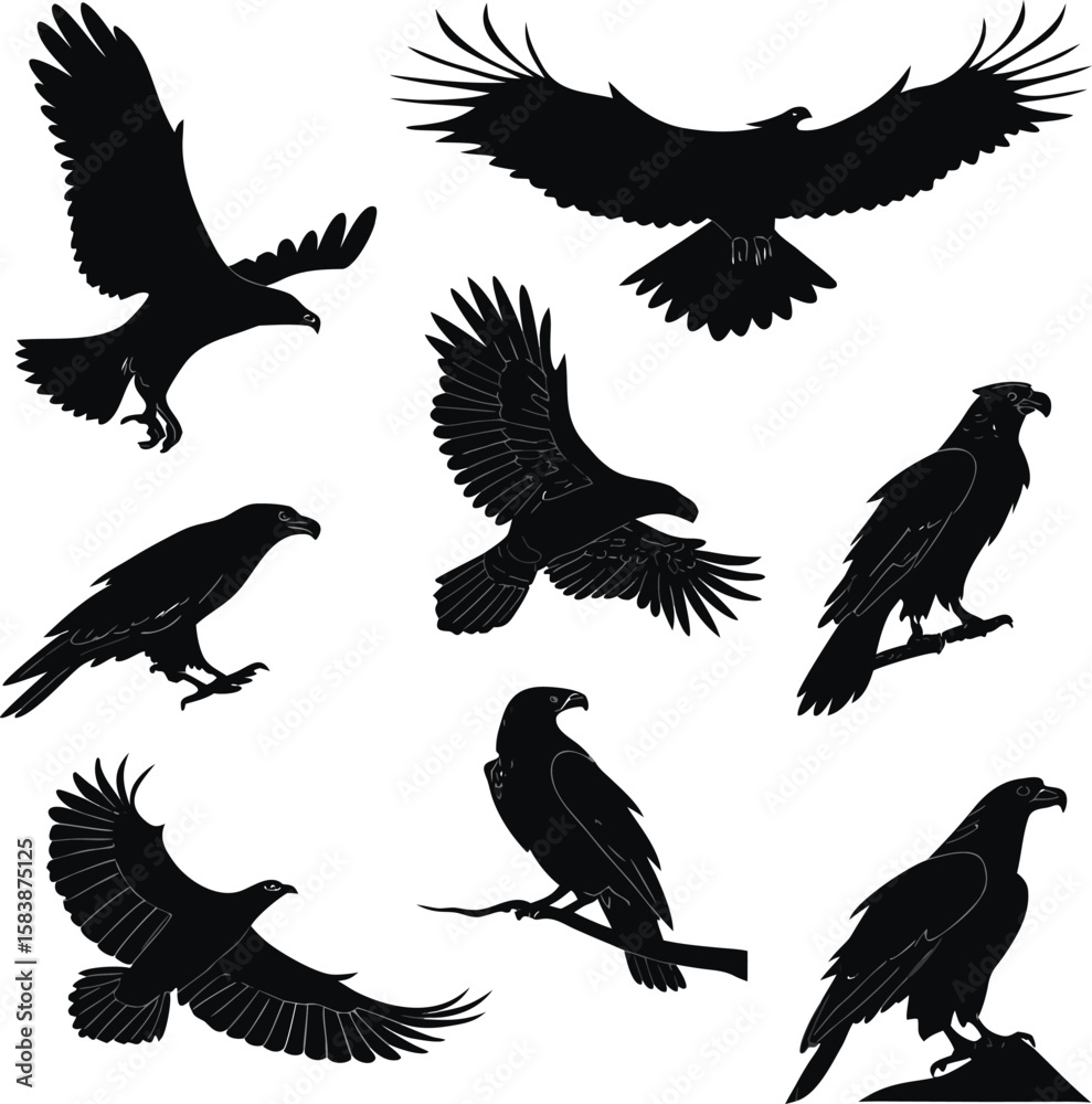 Fototapeta premium Set of Eagle Silhouettes in Flight and Attack Poses – Vector Illustration