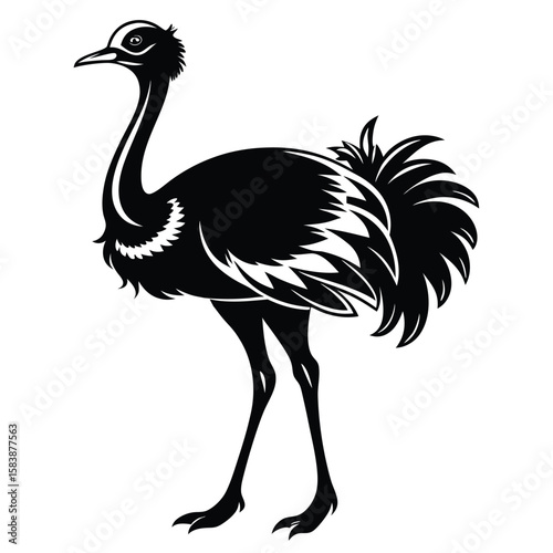 Monochromatic Emu Illustration Graceful Ostrich Like Bird with a Long Neck and Distinct Feathers in Artistic Black and White Design