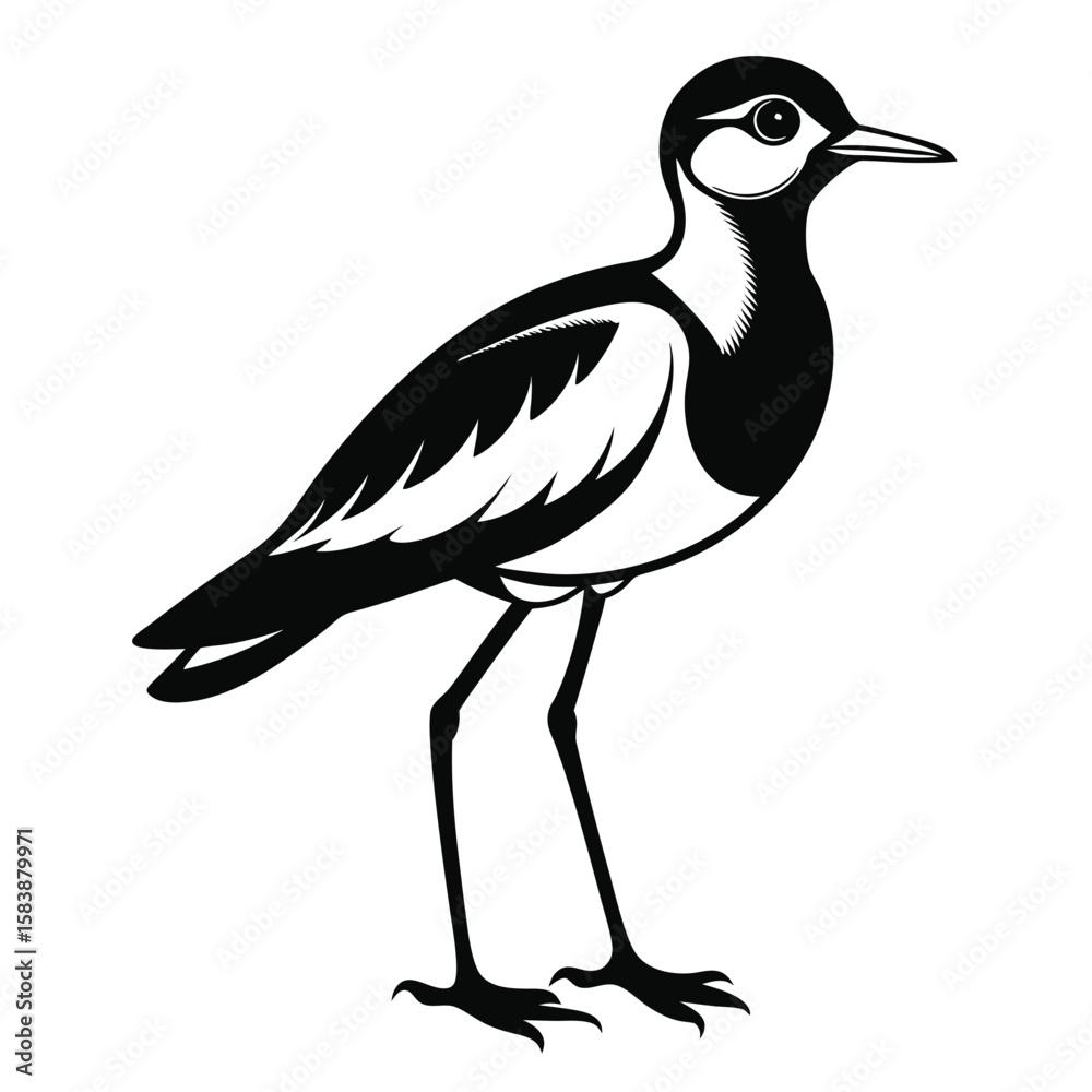 Obraz premium Striking Northern Lapwing Illustration A Detailed Black and White Depiction of a Shorebird in Exquisite Artistic Style