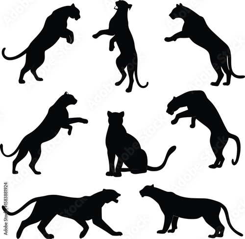 Black Panther Silhouette Set – Wild Cat Animal Poses Collection