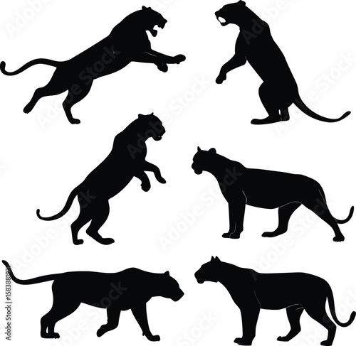 Black Panther Silhouette Set – Wild Cat Animal Poses Collection