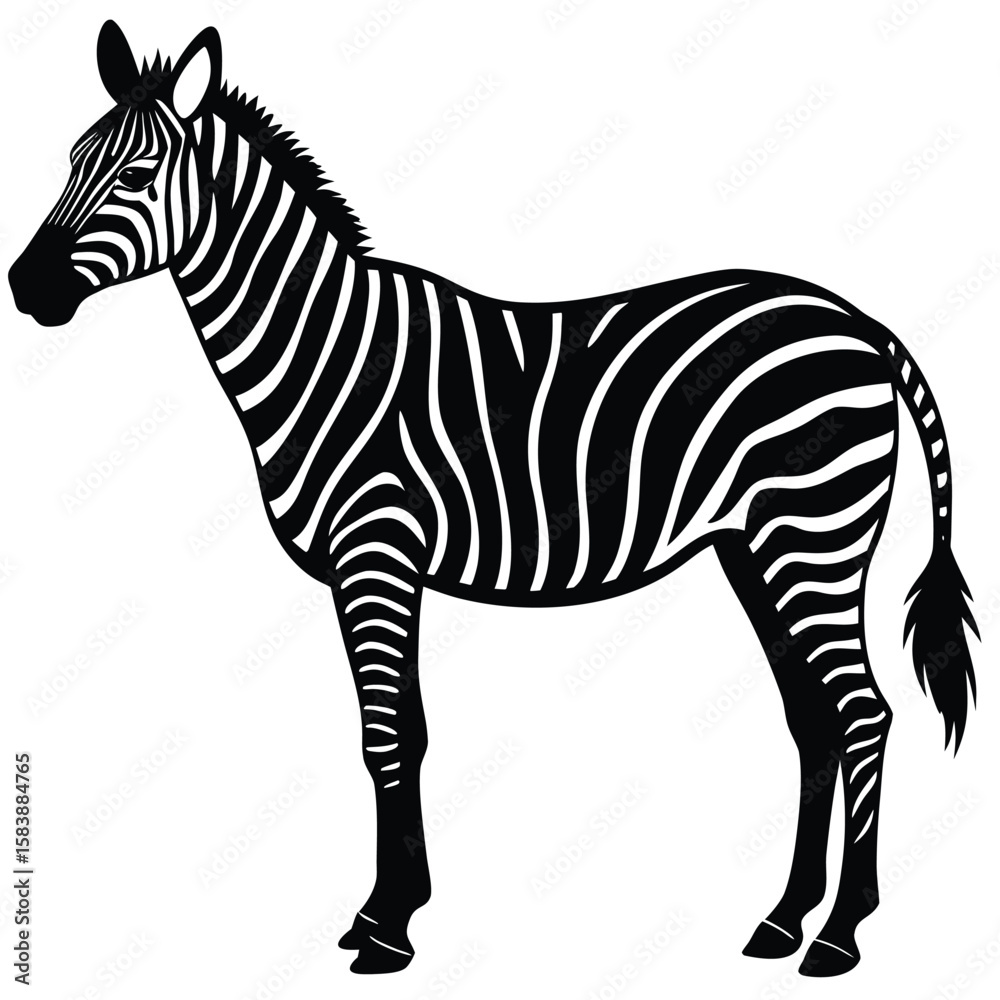 Obraz premium a zebra in side profile with detailed body shape and upright mane, minimalist vector illustration isolated on white background