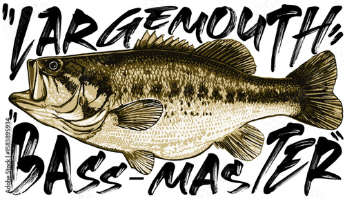 Largemouth bass : the king of freshwater fishing