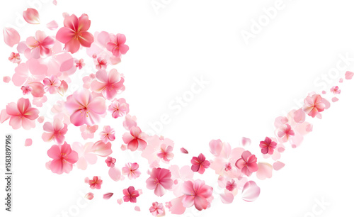 Delicate light pink sakura flowers flow. Wind swirls