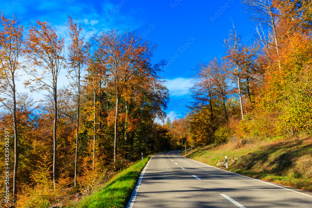 Fototapeta premium Empty asphalt road through vibrant autumn forest with colorful trees