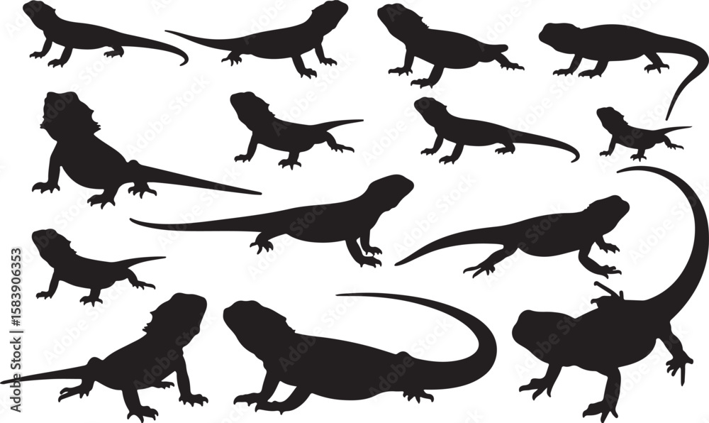 Fototapeta premium Bearded Dragon Solid Vector Silhouette