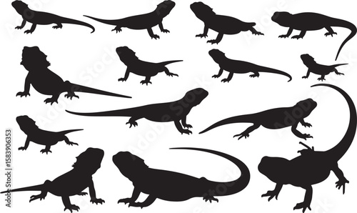 Bearded Dragon Solid Vector Silhouette