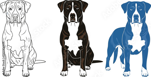 Three stylized pit bull dogs in different artistic styles and colors