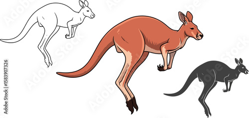 Three stylized kangaroos in different artistic styles on a white background