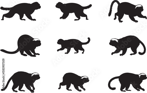 Cotton-top Tamarin Silhouettes Vector Pack