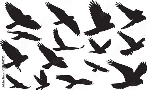Kestrel Silhouettes Vector Pack