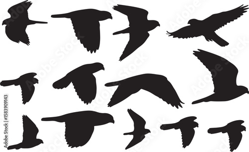 Merlin Silhouettes Vector Pack