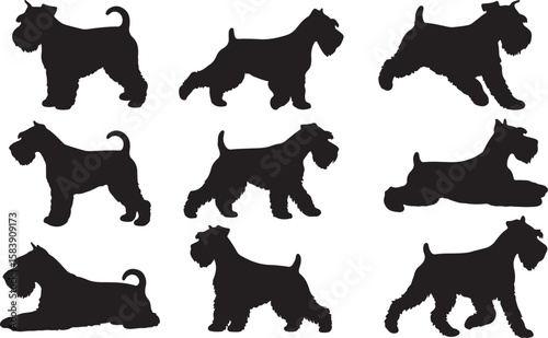 Miniature Schnauzer Silhouettes Vector Pack
