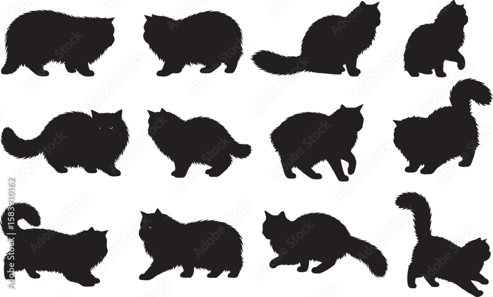 Fototapeta premium Persian Cat Silhouettes Vector Pack