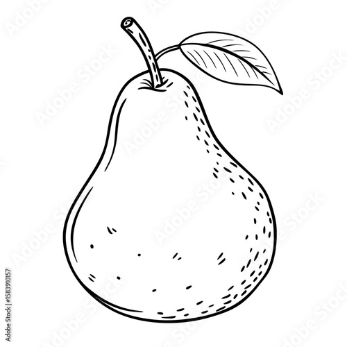 Hand-drawn pear with leaf in black outline illustration  