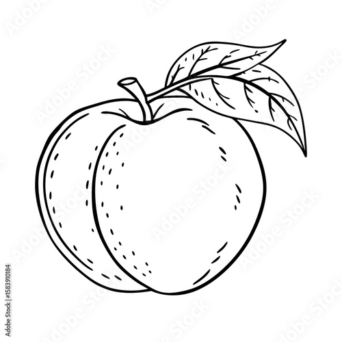 Illustrative peach drawing with leaf in black and white outline  