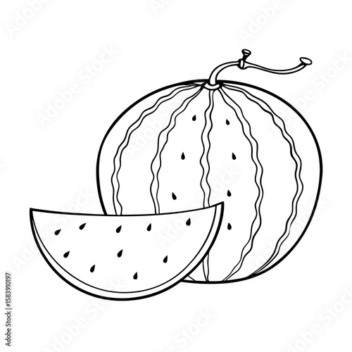 Outline of watermelon with a slice on white background  