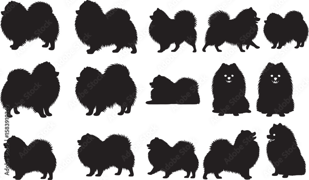 Fototapeta premium Pomeranian Silhouettes Vector Pack