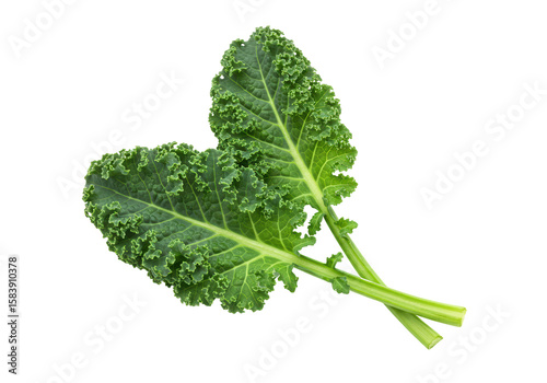 Принти на полотні Isolated Fresh Green Kale Leaves Crossed