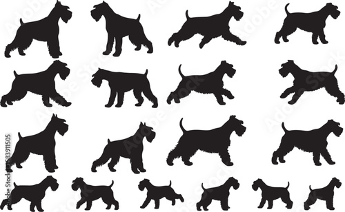 Standard Schnauzer Silhouettes Vector Pack