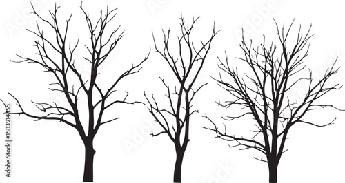 vector illustration of dead tree
