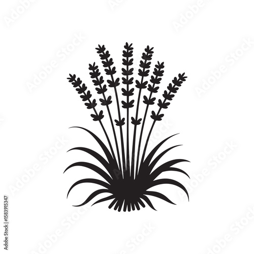 Silhouette of Lavender Flower Bush – Elegant Black Botanical Herb Illustration