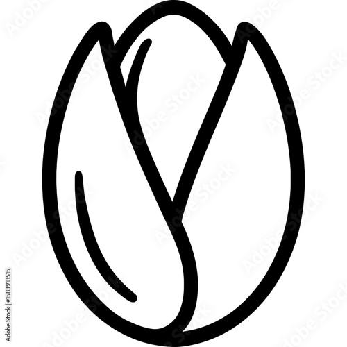 Pistachio nut outline icon vector