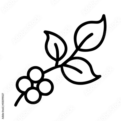 Simple line drawing of a berry branch with leaves  