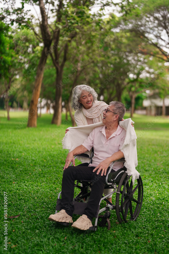 Asian elderly couple demonstrates loving care support park enjoying wellbeing companionship retirement life journey Asian elderly couple demonstrates loving care support park enjoying wellbeing companionship retirement life journey