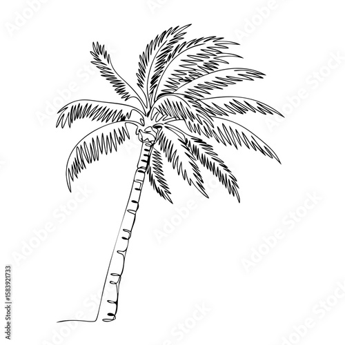 Palm tree in continuous line art drawing style. Minimalist black linear sketch. Editable tropical summer vacation concept. Vector illustration on blank background