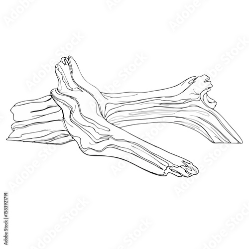 Group of natural driftwood pieces with weathered texture, a concept of beach, summer. Line art vector illustration for decoration, craft