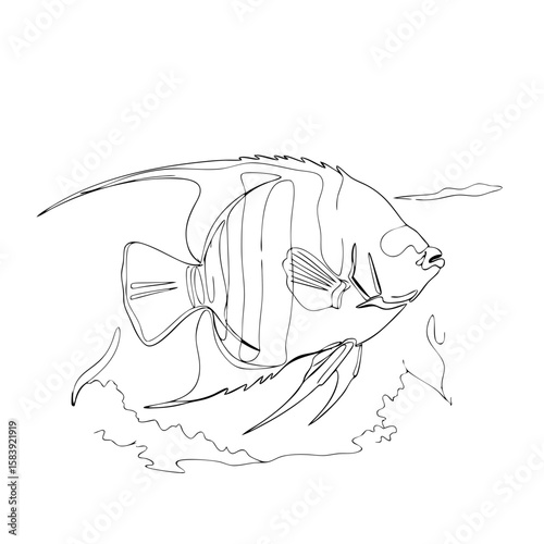 Tropic emperor angelfish, one line art. Sea animal doodle. Minimalist marine underwater creature continuous drawing. Single line simple ocean illustration, vector icon for summer design background