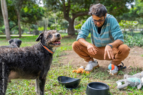 Canvas Print Man playing with mixed breed dogs in park, training and fun with pets