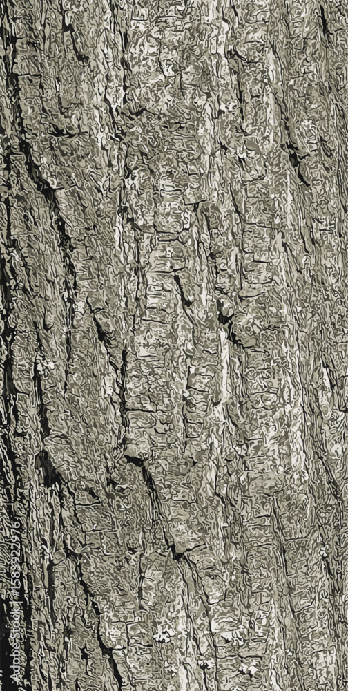 Fototapeta premium Vector illustration of Japanese pagoda tree bark detail. Latin name is Styphnolobium japonicum, Sophora japonica.