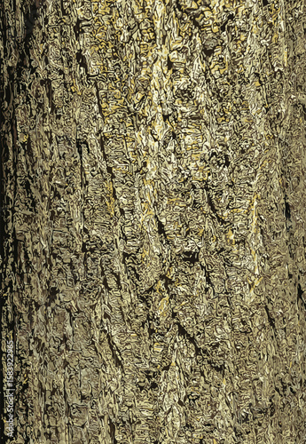 Vector illustration of Japanese pagoda tree bark detail. Latin name is Styphnolobium japonicum, Sophora japonica.
