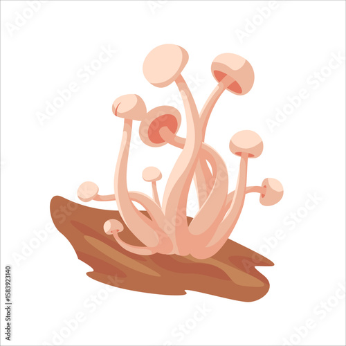 Isolated white beech mushrooms growing out of wood. Illustration is perfect for culinary website, app, autumn and forest theme, decor, educational materials, children's books