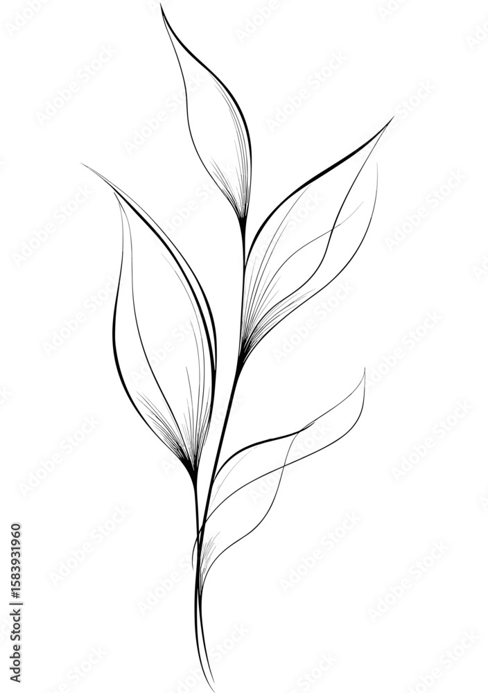 Fototapeta premium Simple line art of a delicate plant branch with leaves 